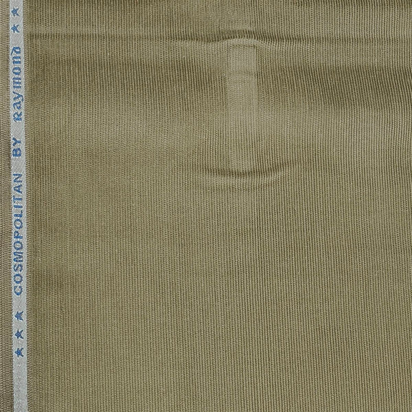 Courdray Raymond Pure Cotton stretchable Trouser Fabric Colour Light Green