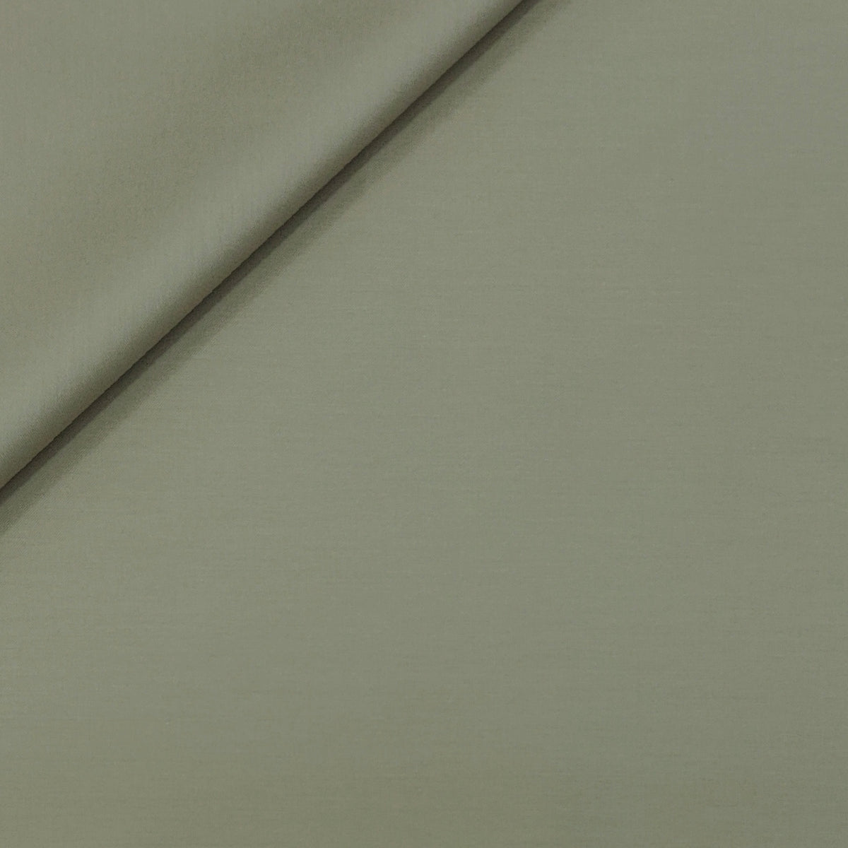 Canetti Italy Luxury Supima Cotton Plain Suiting Fabric Colour Soft Beige