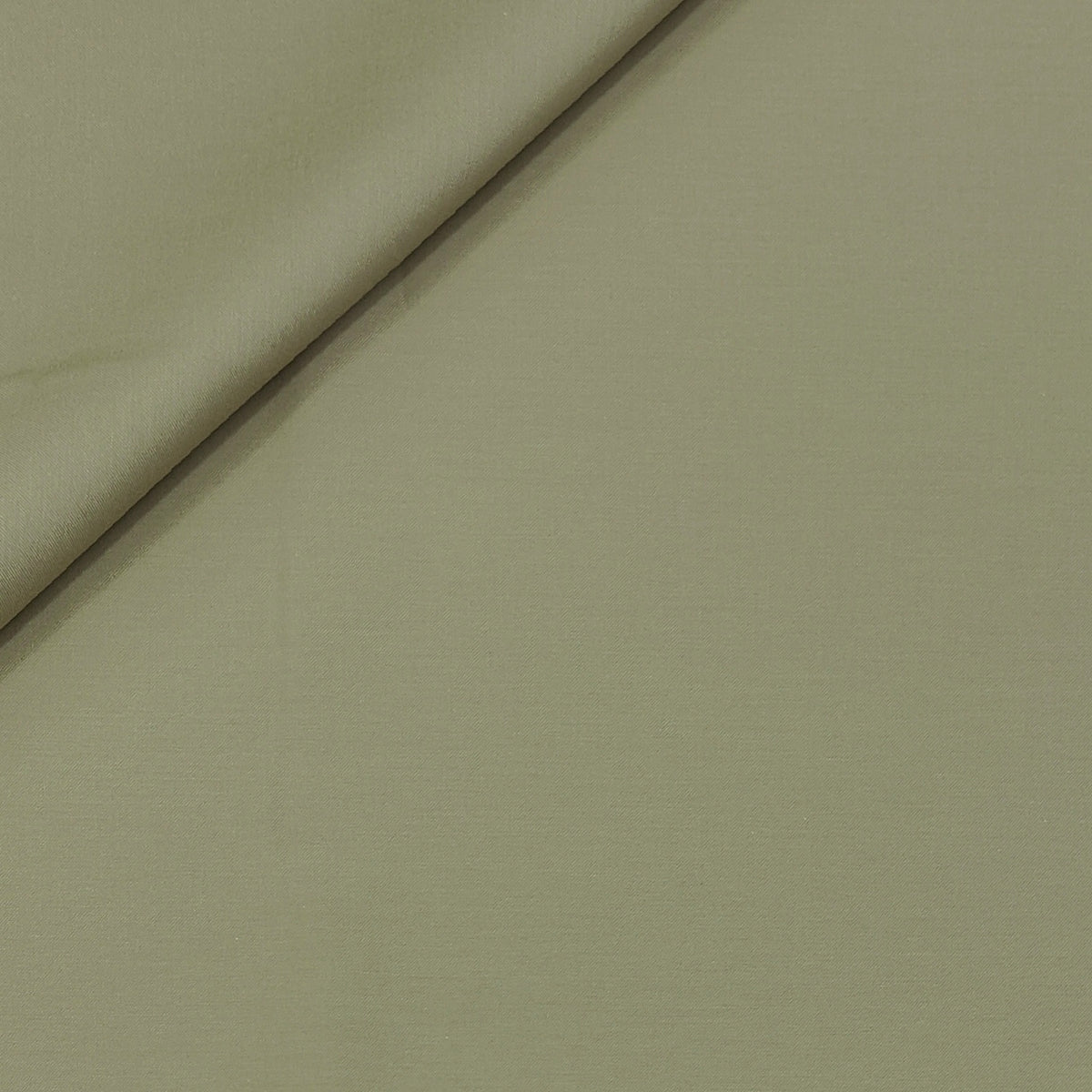 Canetti Italy Luxury Supima Cotton Plain Suiting Fabric Colour Greenish Brown