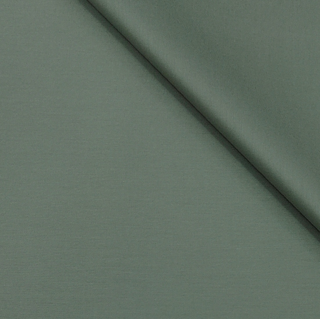 Canetti Italy Luxury Supima Cotton Plain Suiting Fabric Colour Sage Green