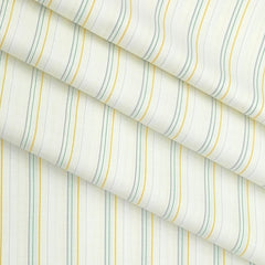 Shirt Fabric Arvind Cotton Blended Broad Lining Colour Tea Green