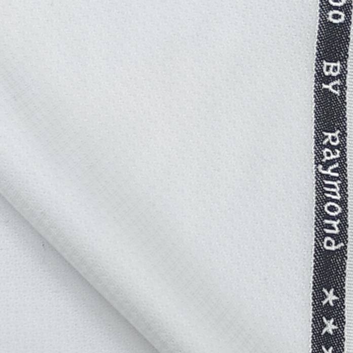 Raymond Terry Rayon Dobby Trouser Fabric Color White
