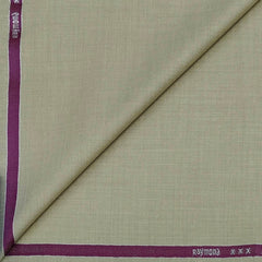 Koti Fabric Raymond Poly viscose Slub Colour Beige
