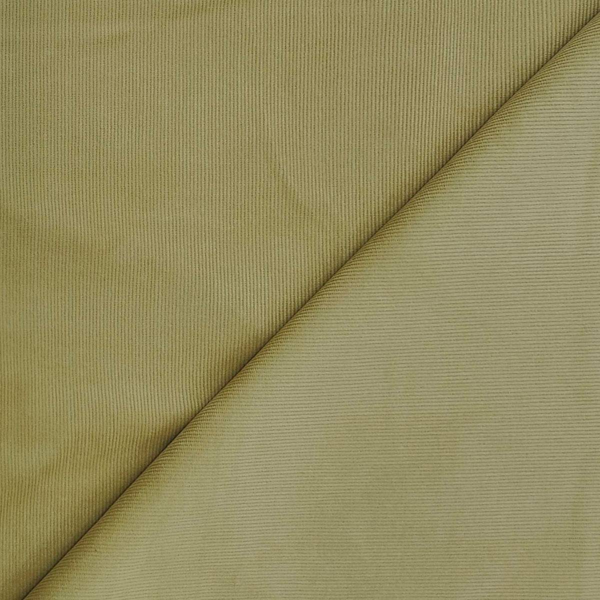 Corduroy Arvind Pure Cotton stretchable Trouser Fabric Colour Camel Brown