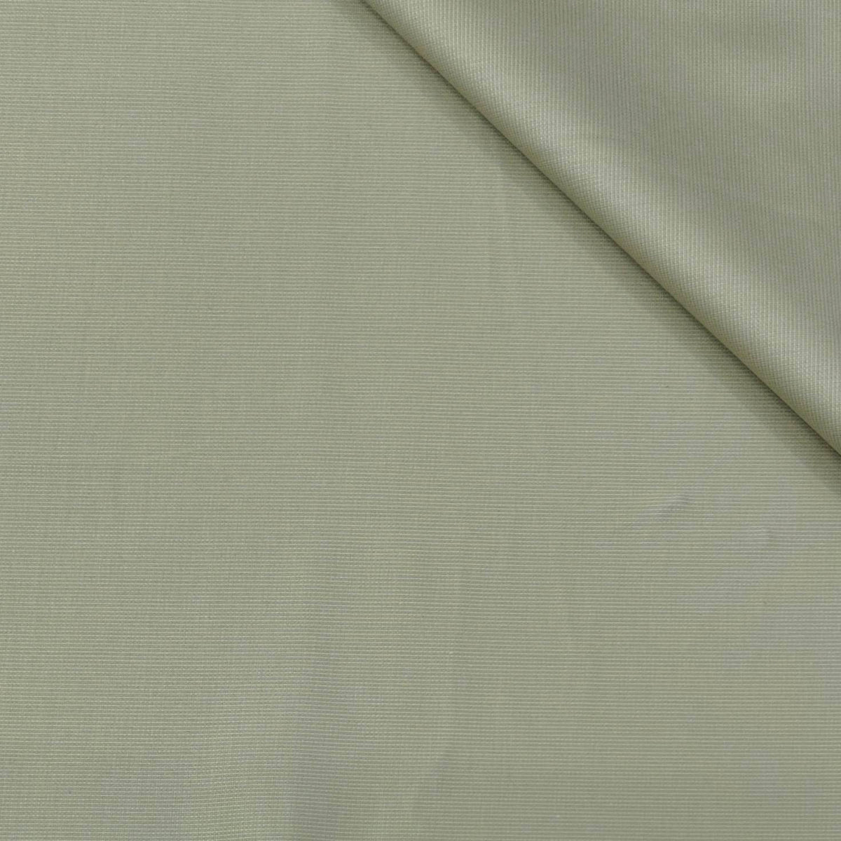 Trouser Fabric Reid & Taylor Super Fine Giza Cotton Plain Color Dull Brown